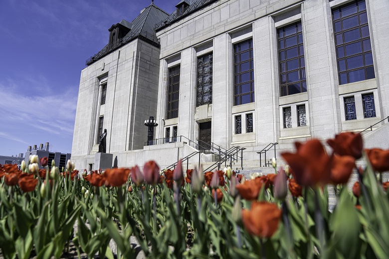 Des tulipes à l&rsquo;avant de l&rsquo;édifice de la Cour suprême du Canada.
