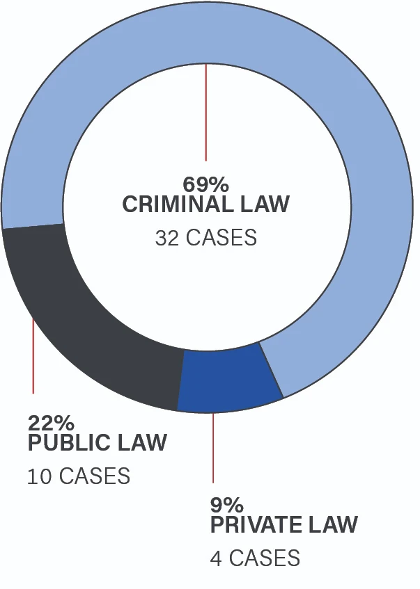 A pie chart showing that 22% of appeals decided were public law appeals, or 10 cases; 69% of appeals were criminal law appeals, or 32 cases, and; 9% of appeals were private law appeals, or 4 cases.