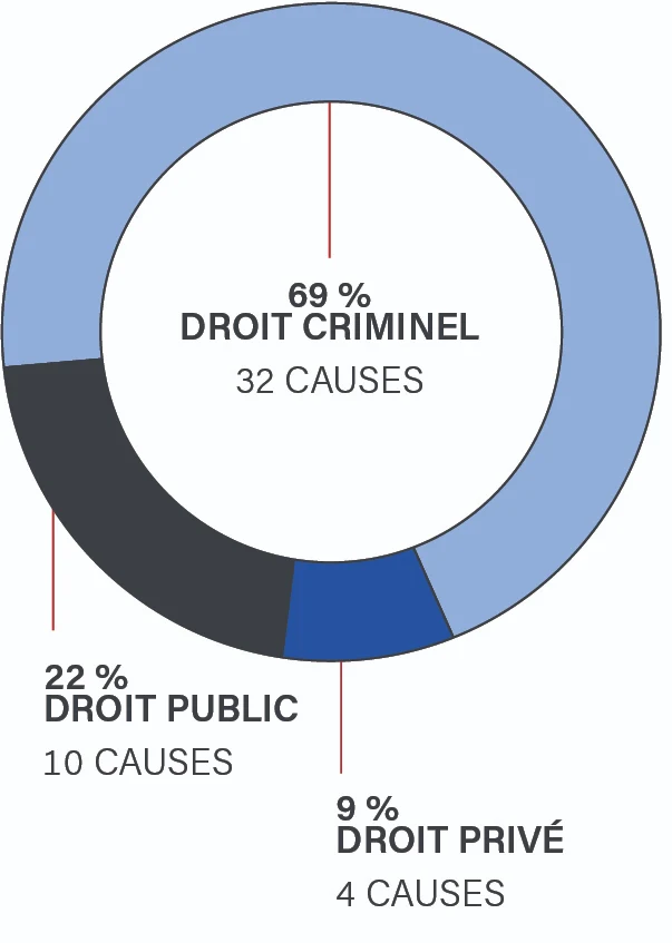 Un graphique circulaire montrant que 22 % des décisions ont tranché des appels de droit public, soit 10 causes; 69 % des décisions ont tranché des appels de droit criminel, soit 26 causes, et; 9 % des décisions ont tranché des appels de droit privé, soit 4 causes.
