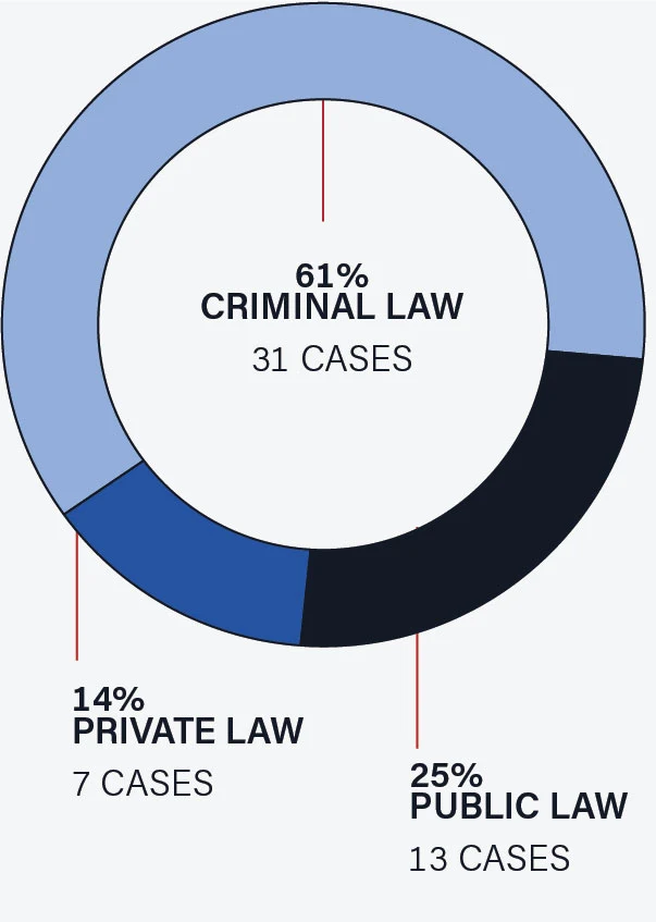 A pie chart showing that 25% of appeals heard were public law appeals, or 13 cases; 61% of appeals were criminal law appeals, or 31 cases, and; 14% of appeals were private law appeals, or 7 cases.