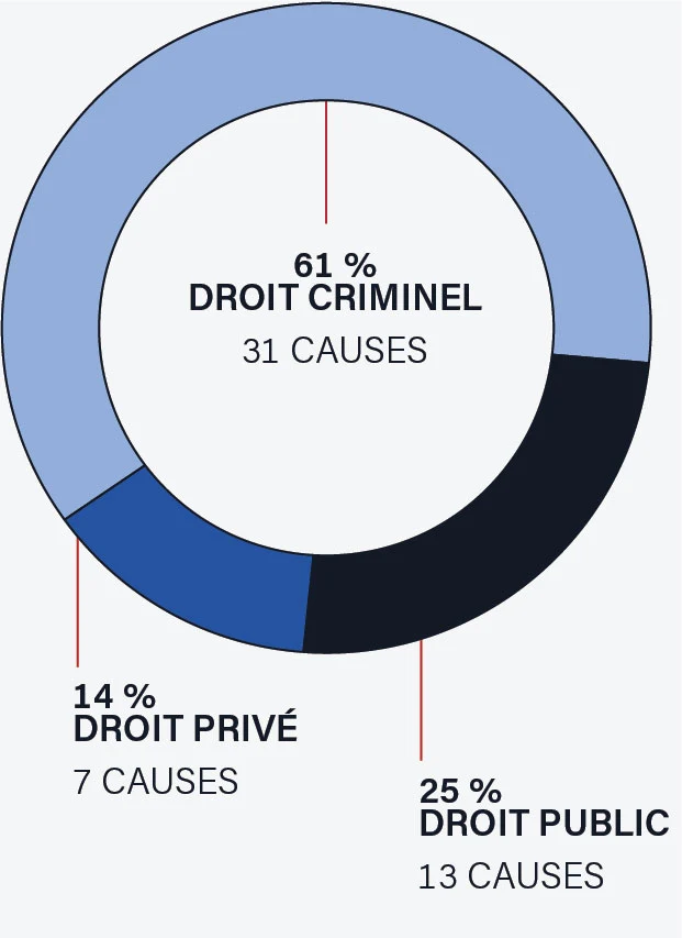 Un graphique circulaire montrant que 25 % des appels entendus étaient des appels de droit public, soit 13 causes; 61 % des appels étaient des appels de droit criminel, soit 31 causes, et; 14 % des appels étaient des appels de droit privé, soit 7 causes.
