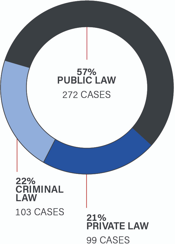 A pie chart showing that 57% of applications for leave were for public law appeals, or 272 cases; 22% of applications in criminal law, or 103 cases, and; 21% of applications in private law, or 99 cases.