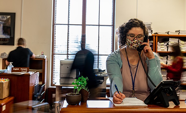 Employees in the Registry