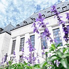 Supreme Court of Canada Building with purple flowers in the foreground